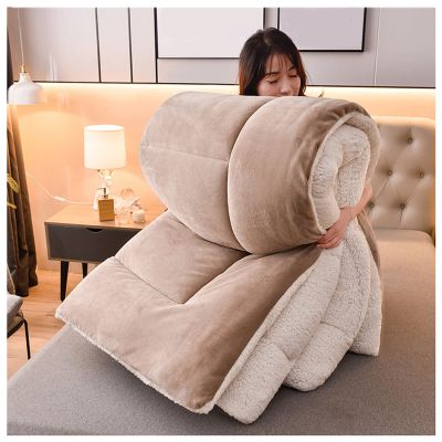 BDMFJY Super Warm Lamb Quilt Winter Blanket 1-5 Kg Double-Sided Velvet Quilt Thickened Warm Autumn Spring Plush Comforter Core, Winter Quilt Full Size,Khaki,200x230cm4kg