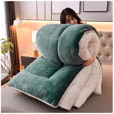 BDMFJY Super Warm Lamb Quilt Winter Blanket 1-5 Kg Double-Sided Velvet Quilt Thickened Warm Autumn Spring Plush Comforter Core, Winter Quilt Full Size,Green,150x200cm3kg