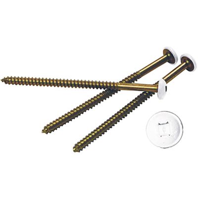 3" Lifetime Vinyl Painted Screws, Bright White (8/Bag)
