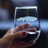 Alligator Stemless Wine Glass - Unique Exotic Animal Gifts for Alligator Lovers - Large 17 Oz Glass view 2