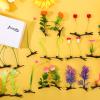 30 Pcs Mixed Style Hair Clips for Women & Girls - Bean Sprout, Flower, Grass, Butterfly Hairpins & Barrettes - Great for School, Home, Party, Christmas view 2