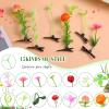 30 Pcs Mixed Style Hair Clips for Women & Girls - Bean Sprout, Flower, Grass, Butterfly Hairpins & Barrettes - Great for School, Home, Party, Christmas view 3