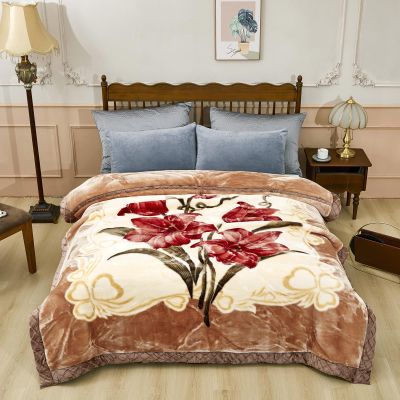 9 lbs Heavy Korean Mink Blanket,Silky Soft and Warm - Korean Style Queen Size 77" x 90", 9LB - 2 Ply Reversible Soft Warm Plush Raschel Blanket.