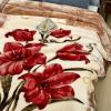 9 lbs Heavy Korean Mink Blanket,Silky Soft and Warm - Korean Style Queen Size 77" x 90", 9LB - 2 Ply Reversible Soft Warm Plush Raschel Blanket. view 3