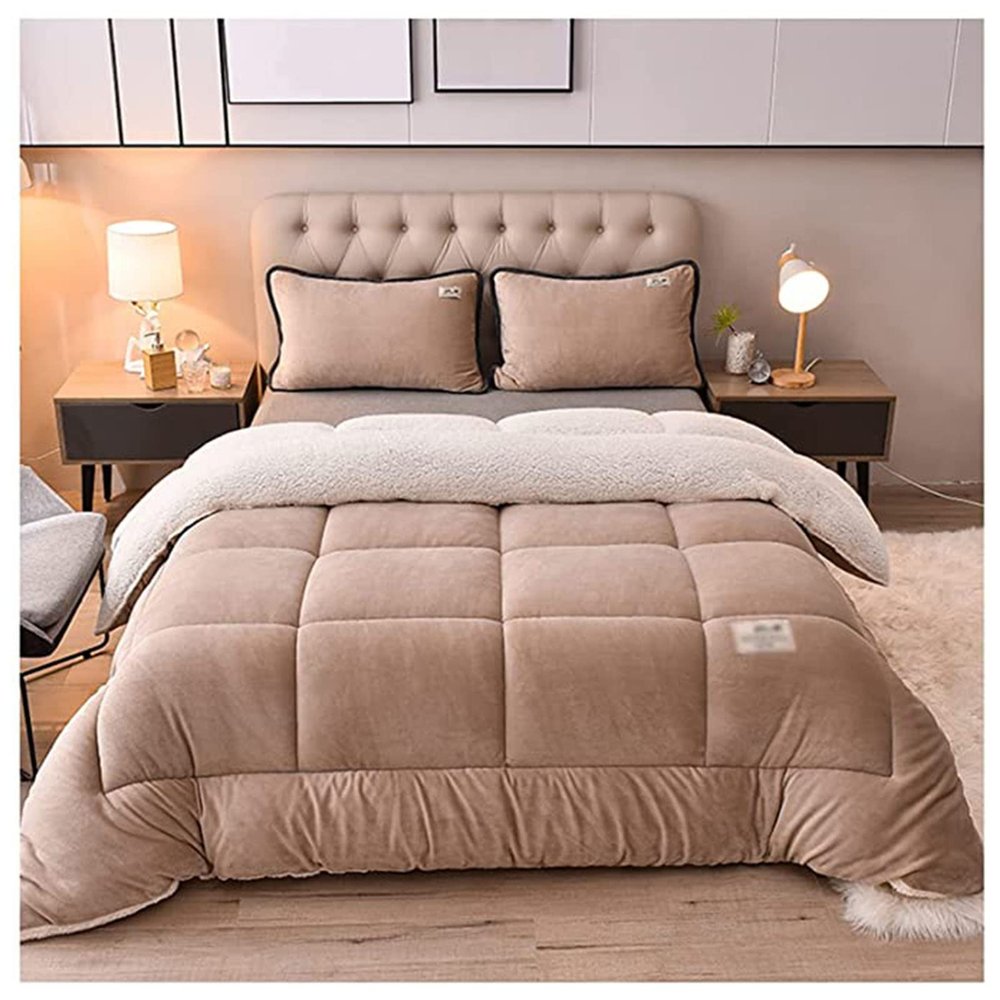 BDMFJY Super Warm Lamb Wool Queen Size Quilt Winter Blanket Double-Sided Velvet Quilt Thickened Warm Autumn Spring Plush Comforter Core, Plain Blanket,B,180x220cm(3.5kg)