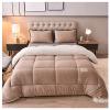 BDMFJY Super Warm Lamb Wool Queen Size Quilt Winter Blanket Double-Sided Velvet Quilt Thickened Warm Autumn Spring Plush Comforter Core, Plain Blanket,B,180x220cm(3.5kg) view 1