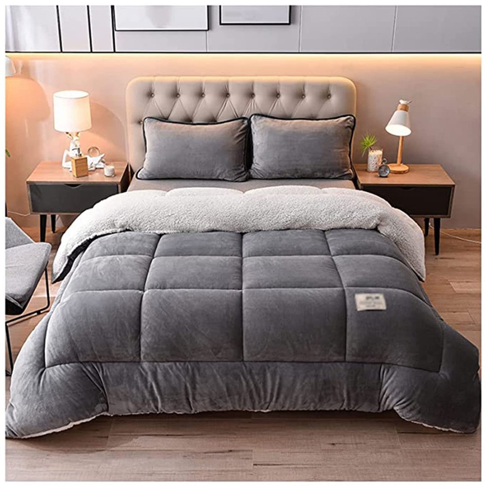 BDMFJY Super Warm Lamb Wool Queen Size Quilt Winter Blanket Double-Sided Velvet Quilt Thickened Warm Autumn Spring Plush Comforter Core, Plain Blanket,A,110x150cm(1kg)