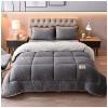 BDMFJY Super Warm Lamb Wool Queen Size Quilt Winter Blanket Double-Sided Velvet Quilt Thickened Warm Autumn Spring Plush Comforter Core, Plain Blanket,A,110x150cm(1kg) view 1