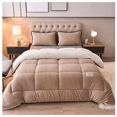 BDMFJY Super Warm Lamb Wool Queen Size Quilt Winter Blanket Double-Sided Velvet Quilt Thickened Warm Autumn Spring Plush Comforter Core, Plain Blanket,B,200x230cm(4kg)