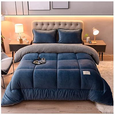BDMFJY Super Warm Lamb Wool Queen Size Quilt Winter Blanket Double-Sided Velvet Quilt Thickened Warm Autumn Spring Plush Comforter Core, Plain Blanket,C,110x150cm(1kg)
