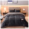 BDMFJY Super Warm Lamb Wool Queen Size Quilt Winter Blanket Double-Sided Velvet Quilt Thickened Warm Autumn Spring Plush Comforter Core, Plain Blanket,D,200x230cm(4kg) view 1