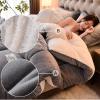 BDMFJY Super Warm Lamb Wool Queen Size Quilt Winter Blanket Double-Sided Velvet Quilt Thickened Warm Autumn Spring Plush Comforter Core, Plain Blanket,D,200x230cm(4kg) view 2