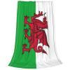 Welsh-Flag Fleece Throw Blanket Soft Blanket and Throw, Warm Cozy Blanket for Couch Bed Sofa view 2