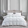 9.8 Newton Super Sale 1000-TC Down White Striped Comforter- 1-Piece All-Season Duvet Insert,500 GSM Micro Fill All Side Corner Tie 100% Egyptian Cotton (Grand King Size (106" x 106"), White Striped) view 1