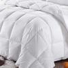 9.8 Newton Super Sale 1000-TC Down White Striped Comforter- 1-Piece All-Season Duvet Insert,500 GSM Micro Fill All Side Corner Tie 100% Egyptian Cotton (Grand King Size (106" x 106"), White Striped) view 3