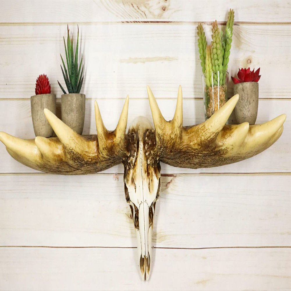 Ebros Gift Rustic Western Emperor Moose Elk Skull Antlers Wall Hanging Floating Shelf with Hanger Point Hooks 27.5" Long Buck Deers Decorative Shelves for Cabin Lodge Country Decor