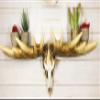 Ebros Gift Rustic Western Emperor Moose Elk Skull Antlers Wall Hanging Floating Shelf with Hanger Point Hooks 27.5" Long Buck Deers Decorative Shelves for Cabin Lodge Country Decor view 1