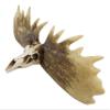 Ebros Gift Rustic Western Emperor Moose Elk Skull Antlers Wall Hanging Floating Shelf with Hanger Point Hooks 27.5" Long Buck Deers Decorative Shelves for Cabin Lodge Country Decor view 4