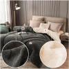 BDMFJY Lamb Velvet Fabric Winter Quilt, Super Warm Cashmere Quilt, Hygroscopic Breathable Duvet Single Double,Wool Autumn and Winter Thickened Warm Gift Quilt,A,200x230cm(4kg) view 2
