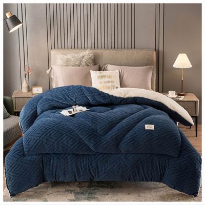BDMFJY Lamb Velvet Fabric Winter Quilt, Super Warm Cashmere Quilt, Hygroscopic Breathable Duvet Single Double,Wool Autumn and Winter Thickened Warm Gift Quilt,B,220x240cm(5kg)