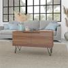 Manhattan Comfort Beekman 35.43" Accent Cabinet with 2 Shelves, Brown view 2