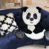 1pc Panda Rug Absorbent Carpet Decorative Cushion Bathroom Carpet Household Household Floor Mat Bedroom Ground Mat Bathroom Non-Slip Non-Slip Ground Panda Shaped view 3