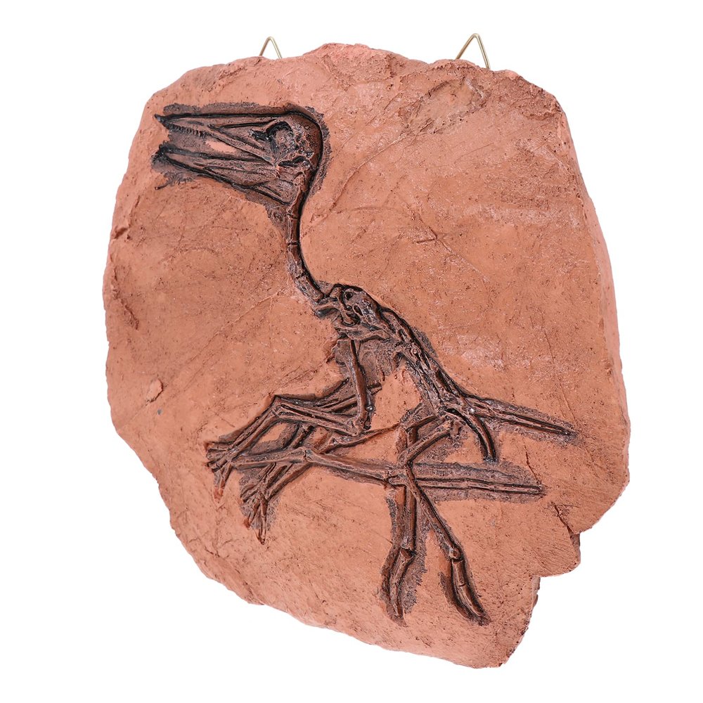 FAVOMOTO 1pc Realistic Dinosaur Model Resin Specimen for Cognitive Learning Home Decor and Educational Reference Wall Hanging Decoration for Boys and Girls Rooms