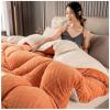 BDMFJY Winter Quilt, Thicken Warm Lamb Cashmere Blanket Winter, Lamb Wool Blanket, Heavy Blankets for Winter Double Bed, Bedding Fleece Blanket for Home Bedroom,A,180x220cm(3.5kg) view 1