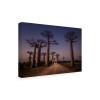 Trademark Fine Art 'Allace Des Baobabs' Canvas Art by Marco Tagliarino view 2