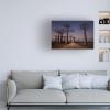 Trademark Fine Art 'Allace Des Baobabs' Canvas Art by Marco Tagliarino view 3