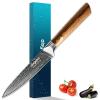 Aisyoko 5-Inch Paring Knife - Japanese VG-10 Super Steel 67-Layer Damascus Blade - Fruit Utility Knife for Carving & Peeling - Luxury Gift Box with Color Wooden Handle - Includes Scabbard view 1