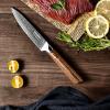 Aisyoko 5-Inch Paring Knife - Japanese VG-10 Super Steel 67-Layer Damascus Blade - Fruit Utility Knife for Carving & Peeling - Luxury Gift Box with Color Wooden Handle - Includes Scabbard view 3