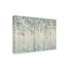 Trademark Fine Art 'Dream Forest I Silver Leaves' Canvas Art by James Wiens view 2
