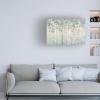 Trademark Fine Art 'Dream Forest I Silver Leaves' Canvas Art by James Wiens view 3