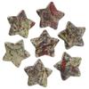 Cheungshing 5 Pcs Reiki Crystal Stars Polished Palm Worry Stone for Chakra Balance, DIY Jewelry Making, Meditation, Dragon Blood Stone view 1