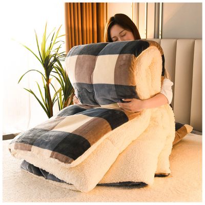BDMFJY Super Warm Lamb Velvet Fabric Winter Quilt Blanket, Thickened Warm Breathable Cashmere Fiber Filled Core Double- Sided Quilt for Cold Weather,F,150x200cm1.75kg