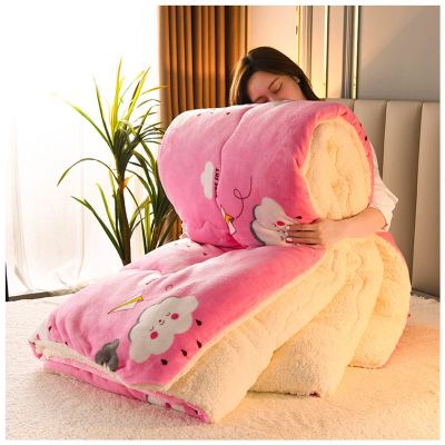BDMFJY Super Warm Lamb Velvet Fabric Winter Quilt Blanket, Thickened Warm Breathable Cashmere Fiber Filled Core Double- Sided Quilt for Cold Weather,E,180x220cm3kg