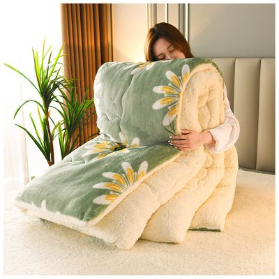 BDMFJY Super Warm Lamb Velvet Fabric Winter Quilt Blanket, Thickened Warm Breathable Cashmere Fiber Filled Core Double- Sided Quilt for Cold Weather,B,150x200cm 2.5kg