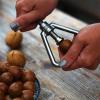 YUHUAWF Nut Cracker Walnut Clip Peeler Nut Macadamia Multifunctional Household Fruit Opener Walnut Clip Kitchen Nut Sheller Crack Filbert Plier Stainless Steel view 3