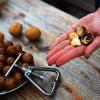 YUHUAWF Nut Cracker Walnut Clip Peeler Nut Macadamia Multifunctional Household Fruit Opener Walnut Clip Kitchen Nut Sheller Crack Filbert Plier Stainless Steel view 4