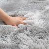BAILR Luxury Fluffy Area Rugs 31inch, Super Soft and Comfy Carpet, Non Slip Comfy Living Room Carpets, for Girls Room, Kids Room, Baby Room view 2