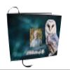 COMMEMORATIVE CREMATION URNS Owl Photo Funeral Guest Book for Memorial Service and Celebration of Life Guest Book for Memorial Service - Beautiful & Vibrant Sign in Book for Funeral view 1