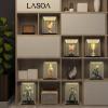 LASOA Acrylic Display Case for Collectibles with LED Light, Alternative Glass Display Box with Black Base and Lid, Self-Assembly Clear Storage Showcase for Memorabilia (9.8x7.9x9.8inch;25x20x25cm) view 2
