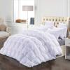 XQKXHZ Double Size Duvet, Luxurious White Goose Feather & Down Quilt, 95% Down Filling King Size Bed Duvet, All Seasons Warmth and Breathable Down Comforters, Cotton Shell, White - 200x230cm- 3kg view 1