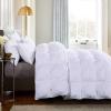 XQKXHZ Double Size Duvet, Luxurious White Goose Feather & Down Quilt, 95% Down Filling King Size Bed Duvet, All Seasons Warmth and Breathable Down Comforters, Cotton Shell, White - 200x230cm- 3kg view 2