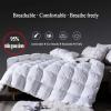 XQKXHZ Double Size Duvet, Luxurious White Goose Feather & Down Quilt, 95% Down Filling King Size Bed Duvet, All Seasons Warmth and Breathable Down Comforters, Cotton Shell, White - 200x230cm- 3kg view 3