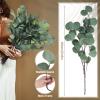 20 Pcs Artificial Eucalyptus Stems Fake Bulk Eucalyptus Faux Greenery Silver Dollar Leaves 23.6 Inches Silver Dollar Fake Plant Decor Silk Branches Artificial Greenery Branches Plant for Wedding Decor view 2