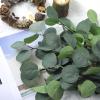 20 Pcs Artificial Eucalyptus Stems Fake Bulk Eucalyptus Faux Greenery Silver Dollar Leaves 23.6 Inches Silver Dollar Fake Plant Decor Silk Branches Artificial Greenery Branches Plant for Wedding Decor view 3