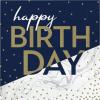 Baxters Party Bundle Milestone Birthday Navy and Gold Luncheon Napkins, Pack of 64 view 1