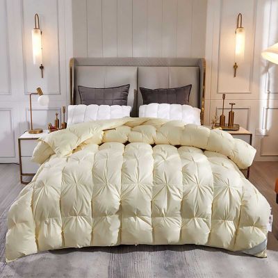 XQKXHZ Lightweight Blankets, Warm and Fluffy Duvet Insert, Queen Size Microfiber Quilted Blanket, Ultra Soft and Breathable Down Duvet, All Seasons Bedding Comforter, 200x230cm - 4.5kg,Beige